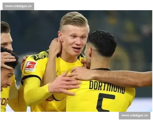 一站式德甲赛程查询与球队对阵分析平台实用攻略大全权威指南手册